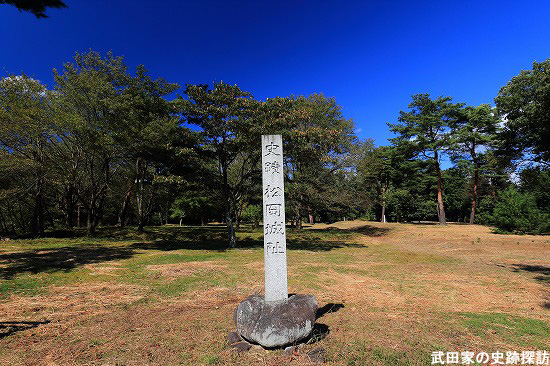 松岡城